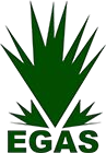 EGAS